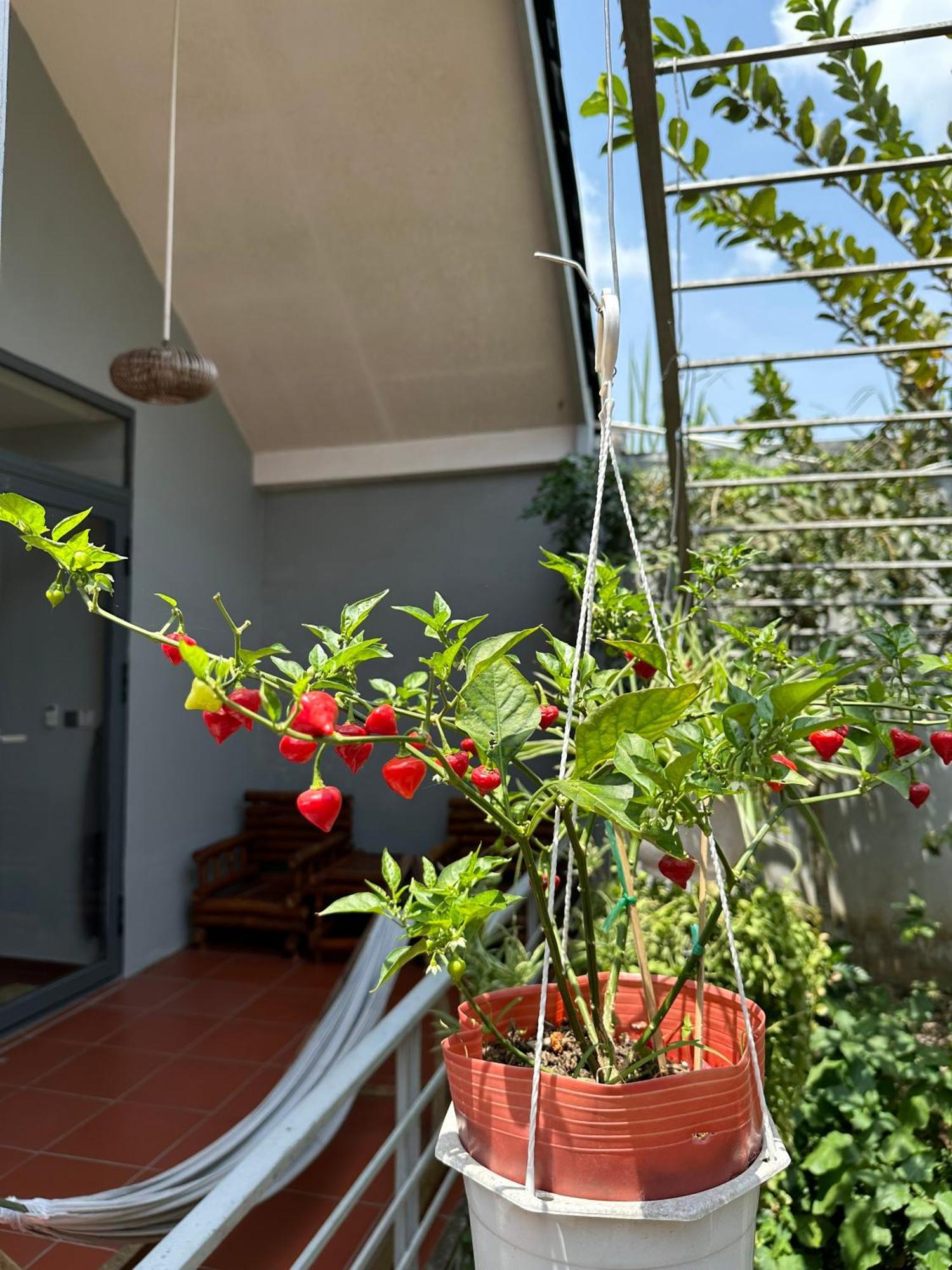 Cato Homestay Can Tho Dış mekan fotoğraf